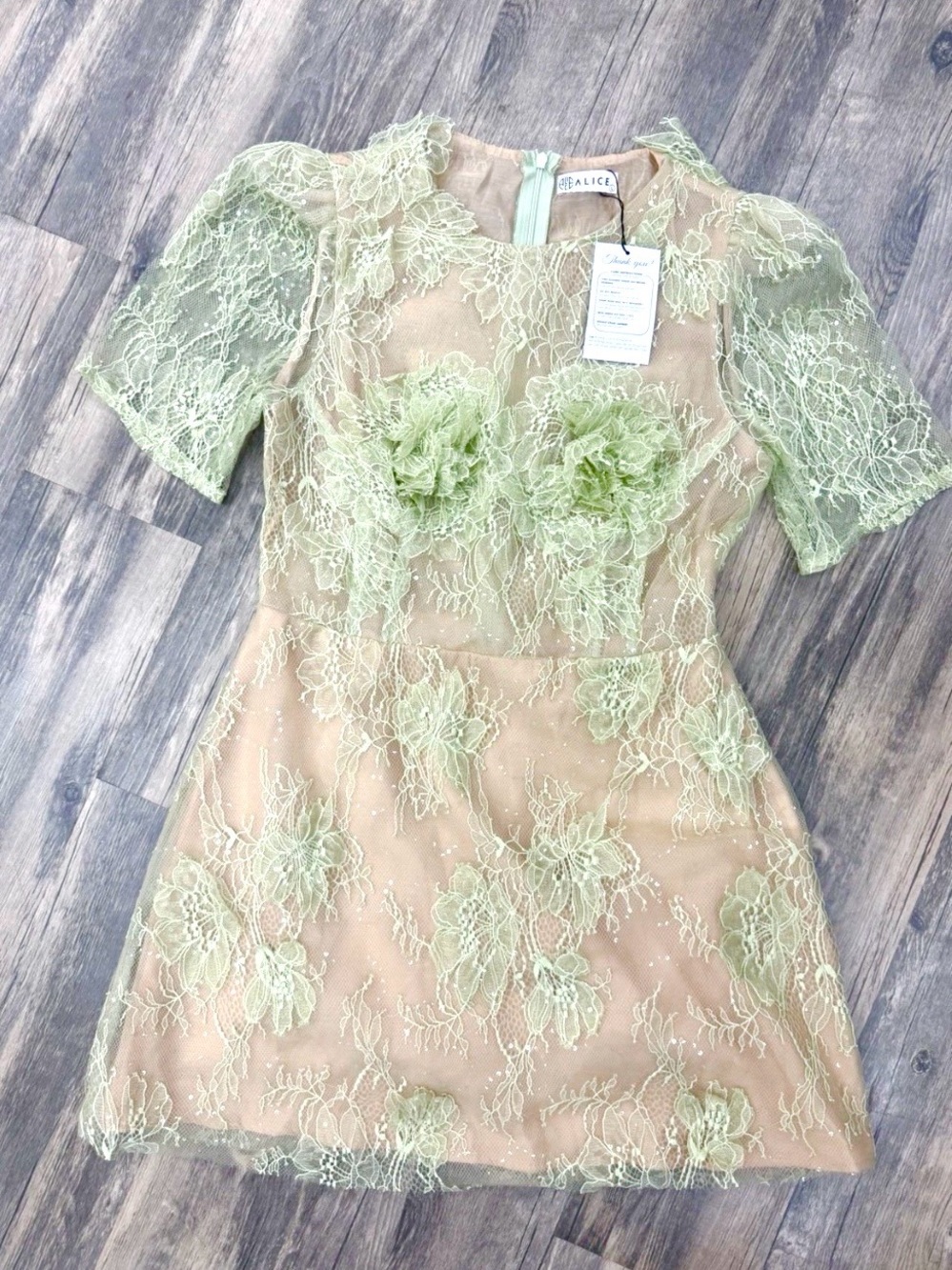 Garden Fairycore Sage Lace Vietnamese Boutique Appliqué Dress  NWT Coquette L